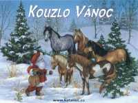002 Kouzlo V&aacute;noc